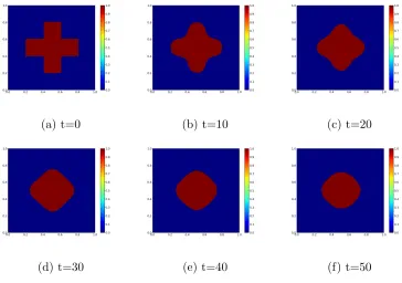 Figure 6.2: Mean curvature ﬂow simulated by phase ﬁeld method. The interface is