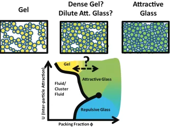 Figure 1.2: Qualitative phase diagram of disordered packings as a function of packing fraction((left), obviously dense glassy packing (right), and an intermediate density packing of indetermi-휙) and inter-particle attraction (푈)