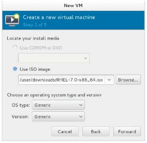Figure 5.4 . Local ISO image installation