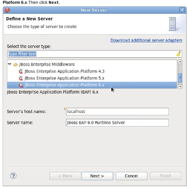 Figure 1.2. Choose server type