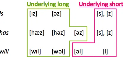 Figure 2.1: Long or short underlying allomorphs of surface representations [chart fromLignos & MacKenzie 2014]