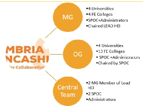 Figure 1: CLNCO Management and Operational Groups 