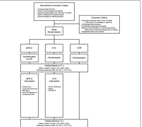 Fig. 1 Study Flow Chart. BFR-C – Blood flow restriciton cycling group; CYC – Traditional cycling group; CON – Usual care control group; LOP – Limbocclusion pressure; 3RM LE – Three-repetition Maximum Leg Extension; 6MWT – 6 min walk test; STS30–30-s sit-to-stand test; TUG – Timed up and go;pQCT – Peripheral Quantitative Computed Tomography; iDXA – Dual X-ray Absorptiometry; URR – Urea Reduction Ratio; Hb – Haemoglobin;Alb – Albumin; K+ − Potassium; PTH – Parathyroid Hormone; PO4 – Phosphate; RPE – Rating of perceived exertion