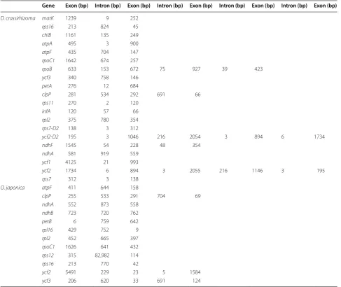 Table 3 SSRs in  O. japonica and  D.  crassirhizoma plastid genome