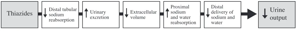 FiGure 3Thiazide diuretics in the treatment of nephrogenic DI. Increased delivery of water and sodium to the proximal tubules after thiazide administration results drugs in development, which act as in a net increase in overall water absorption.15causes of NEC, including full sepsis poor weight gain can be significant for 