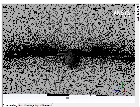 Fig 6.4 Meshing of new model aircraft 