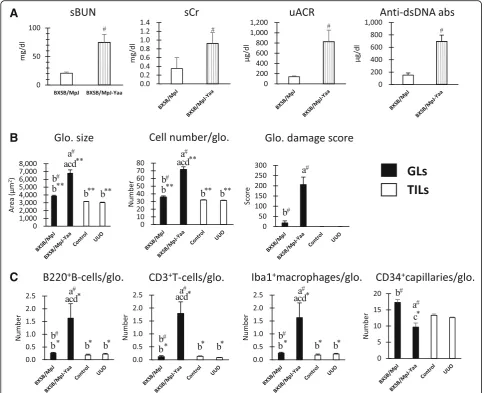Fig. 2 Renal function and autoimmune disease conditions in glomerular lesion (GL) models and GL-associated histological parameters in both GLand tubulointerstitial lesion (TIL) models