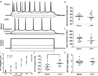 Figure 4: Alterations in layer 2/3 intrinsic excitability following LFPI. (A) 