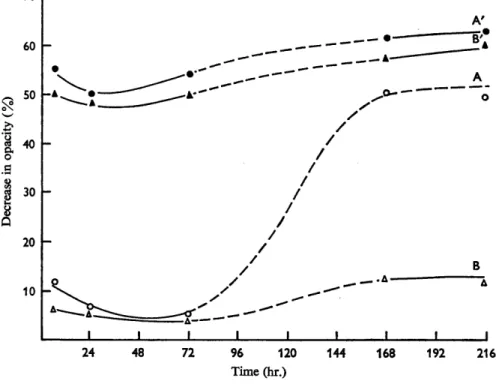 Fig.  1.  Effect of mercaptoacetate on spores of  Clostridium bifementans  during  storage at  16-20&#34;