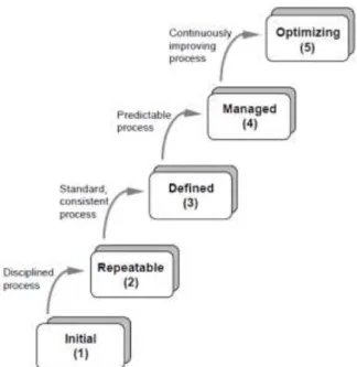 Figure 1. Capability Maturity Model (Paulk et.2006) . 