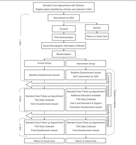 Figure 3 Illustration of the participant study pathway.