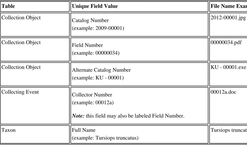 Table Unique Field Value File Name Example