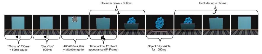 Figure 3.4: Experimental sequence depicting the 3-D occlusion scene. The sequence always started with an introductory phrase, followed by the word prime and ended with the object probe