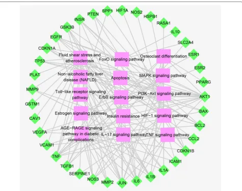 Fig. 8 Analysis of Biological Function of KEGG Pathways (Pathway-Target network). The green points represent the key targets of PCOS relevant to EXD action, and the pink points represent the path of action related to the targets