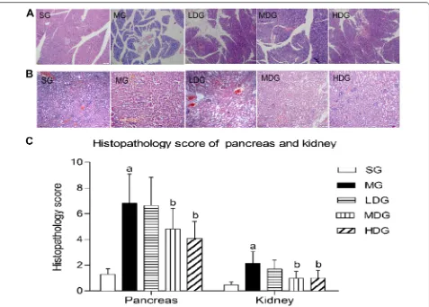 Fig. 3 DCQD alleviates pancreas and kidney pathological damages in rats with SAP. LDG, 12 g/kg in the MDG, and 24 g/kg in the HDG by body weight) 2 h after operation