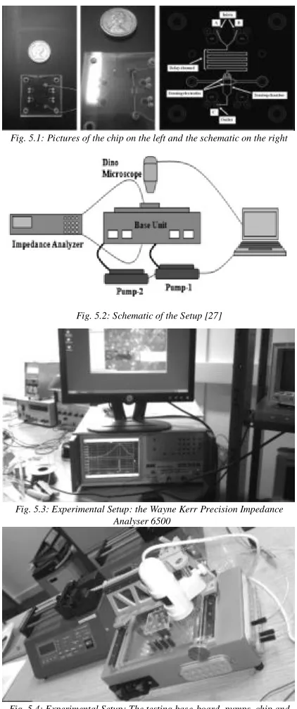 Fig. 5.4: Experimental Setup: The testing base-board, pumps, chip and digital microscope 