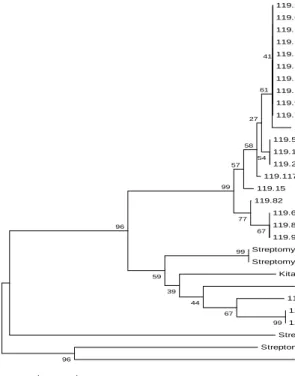 Figure 1: Unrooted Neighbor-Joining (NJ) tree of Streptomyces strains based on celS2 gene amino acid sequences