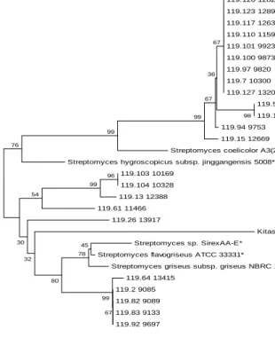 Figure 4: Unrooted Neighbor-Joining (NJ) tree of Streptomyces strains based on 16S rRNA amino acid sequences