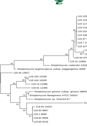 Figure 5: Unrooted Maximum-Likelihood (ML) tree of Streptomyces strains based on 16S rRNA amino acid sequences