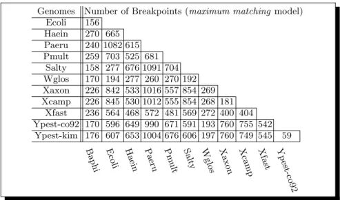 Table 1. Exact number of breakpoints for the maximum matching model