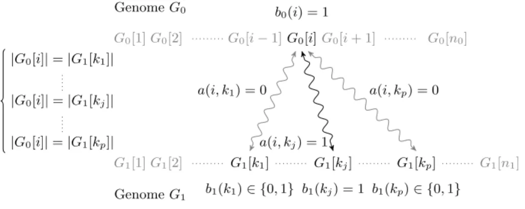 Fig. 2. Illustration of the constraints on variable b 0 (i), 1 ≤ i ≤ n 0 . If gene G 0 [i] appears in positions k 1 < k 2 < 