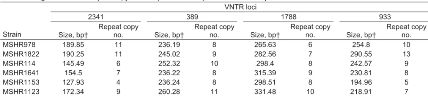 Table 1 shows size variation with calculated number of  repeats and number of alleles for each of the 4 VNTR loci