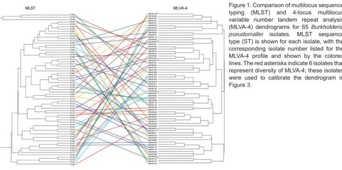 Figure 1. Comparison of multilocus sequence  typing (MLST) and 4-locus multilocus  variable number tandem repeat analysis  (MLVA-4) dendrograms for 65 Burkholderia  pseudomallei isolates