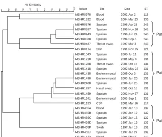Figure 3. Dendrogram showing 4-locus multilocus variable number  tandem repeat analysis profi les for isolates from 3 patients with  melioidosis, with isolate number and multilocus sequence typing  sequence type (ST) listed (see text for details)