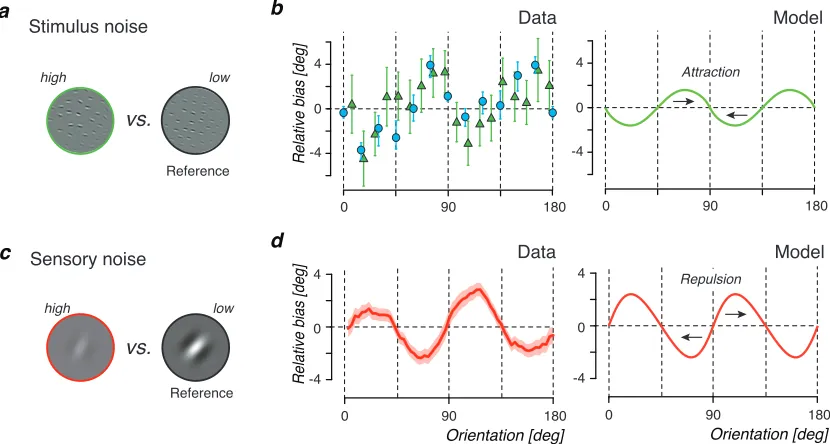 Figure 3.5: Relative biases in perceived orientation. Relative bias is the diﬀerencein perceived orientation between a high noise compared to a low noise stimulus(reference)