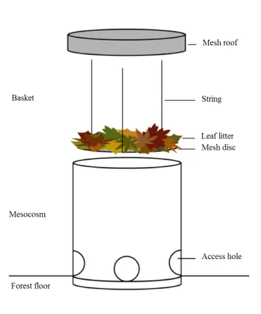 FIGURE 1  