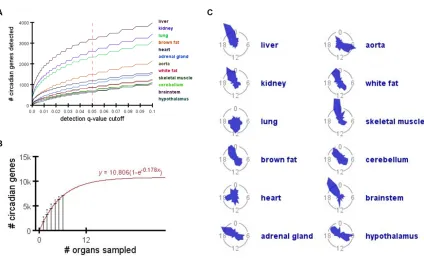 Figure 2.1: Identifying oscillating transcripts across different organs. 