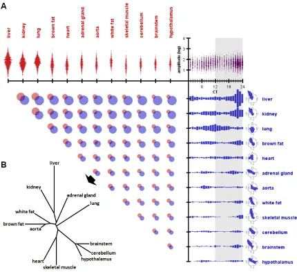 Figure 2.5: Parameters of circadian genes across organs. 