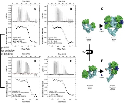 Figure 6: ITC titrations A: EGF titrated into sEGFRWT(5 independent experiments performed; 1 