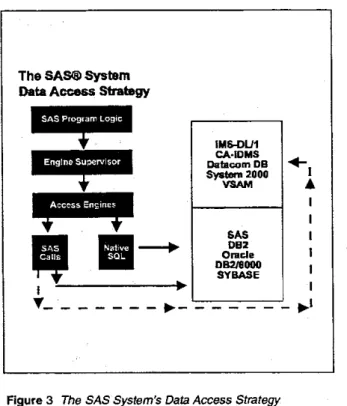 Figure 3  The SAS System's Data Access Strategy  I 