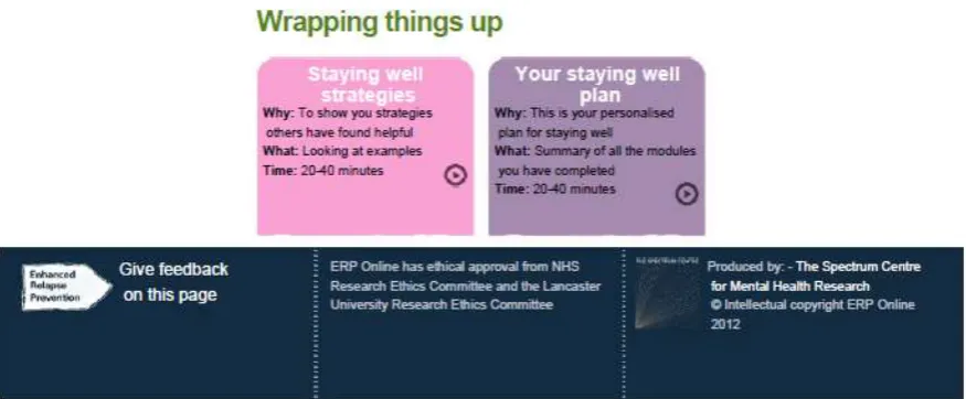 Figure 1. ERPonline homepage 