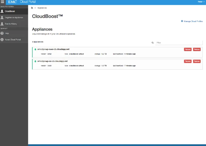Figure 2 List of CloudBoost servers 