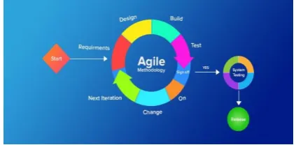 Fig (Agile methodology) 