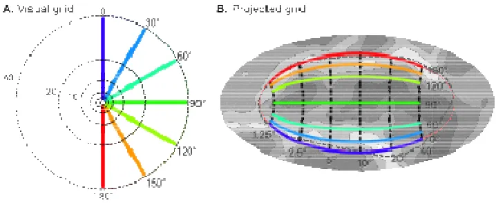 Figure 1 presents the projection of retsurface containing striate cortex. Shown here is a projection of the visual field (A) onto the cortical surface (B)