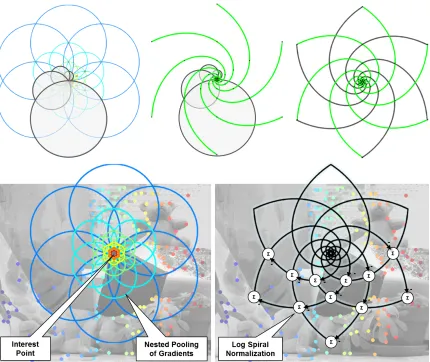 Figure 3.4: (top) Logarithmic spiral property of the nested shape descriptor provides normaliza-tion and binarization