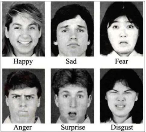 Figure 1: Different Types of Emotions 