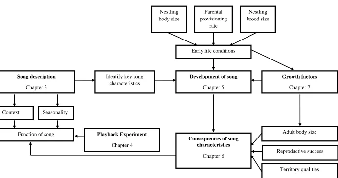 Figure 1. A conceptual model of the relationship between the different elements of this project, the flow of arrows represents variables that contribute to each element; the chapter for each element of the model is also included