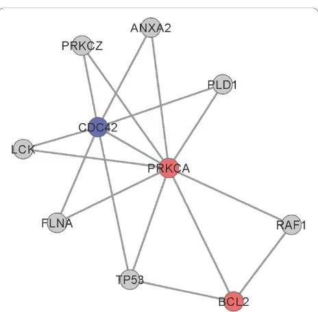 Figure 1 PPI interactions network of 40 differentially expressed genes related with neurons function