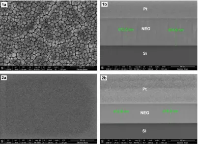 FIG. 5. The high resolution (a) planar and (b) FIB prepared X-section SEM images of columnar (1a and 1b) and 