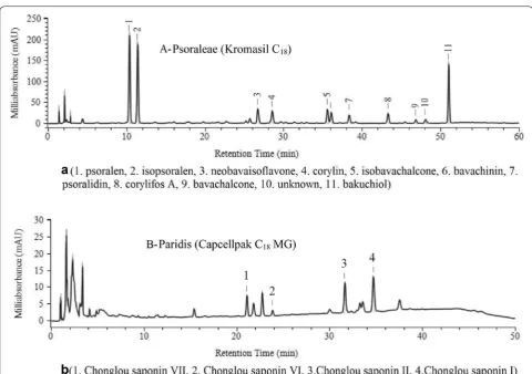 Fig. 1 HPLC chromatograms of samples