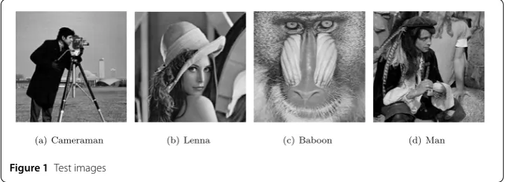 Figure 1 Test images