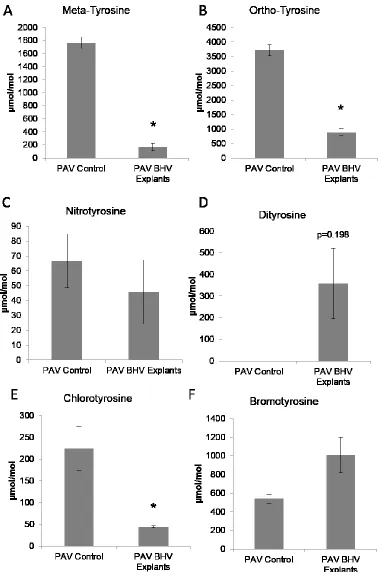 Fig. 2.5 Oxidized amino acids in clinical PAV BHV. Meta-tyrosine (A), ortho-tyrosine, (B), nitrotyrosine (C), dityrosine (D), chlorotyrosine (E), and bromotyrosine (F), n=3