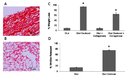 Fig. 2.7 Experimental oxidation of BP. BP exposed to 1% H2O2 and 100 uM FeSO4 for 7 days