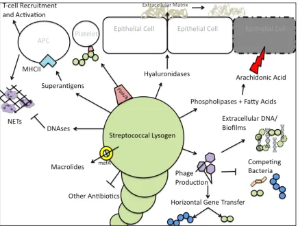 Figure   1.   