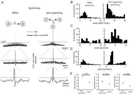 Figure 2.2. Quantification of pairwise correlation.  (A) Measuring and classifying synchrony from CCGs