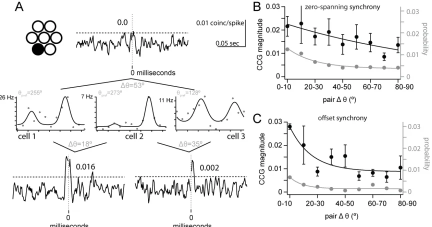 Figure 2.4. Synchrony is dependent on difference in the orientation preference.  (A) Example trio of simultaneously recorded pairs